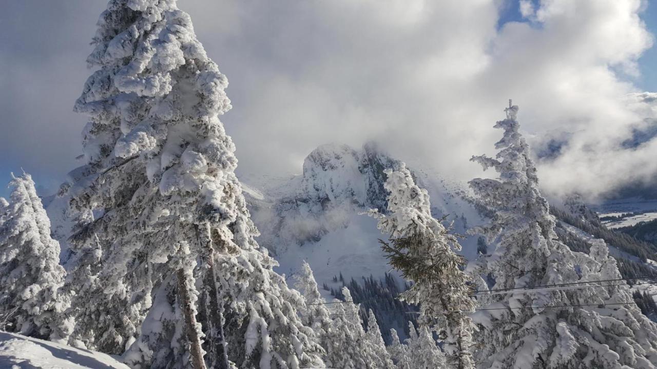 Alpenchalet Vils Tirol מראה חיצוני תמונה